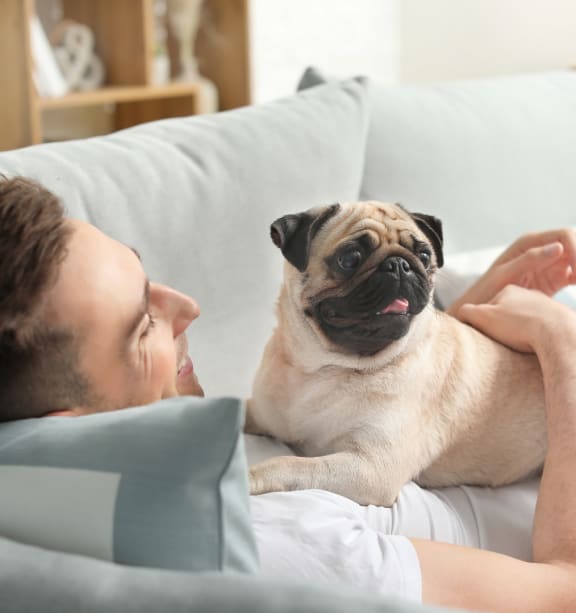 Apartments Apartments in South Bend, IN